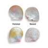 polished and natural mother of pearl shell