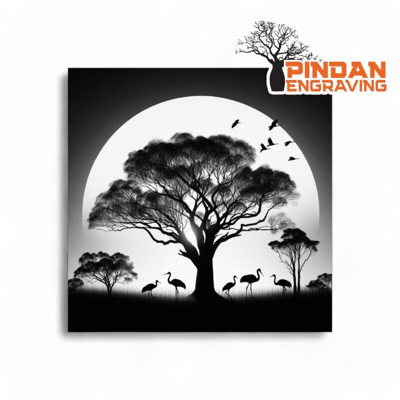 Boab Tree With Brolgas