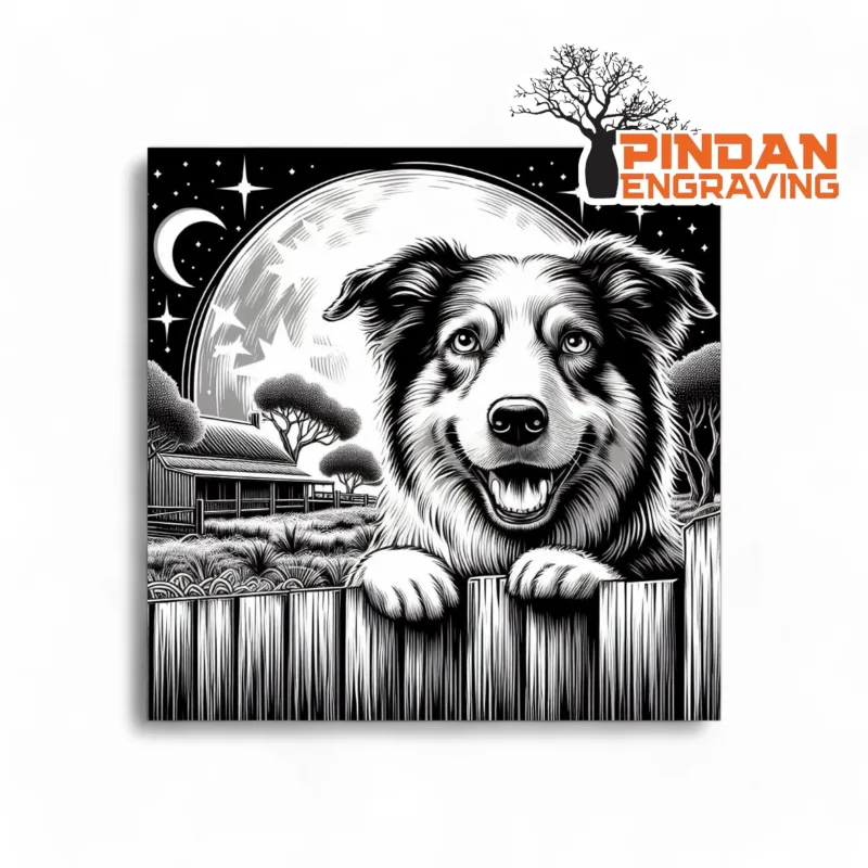 Border Collie over a fence slate coaster