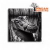 Crocodile in the mangroves slate coaster