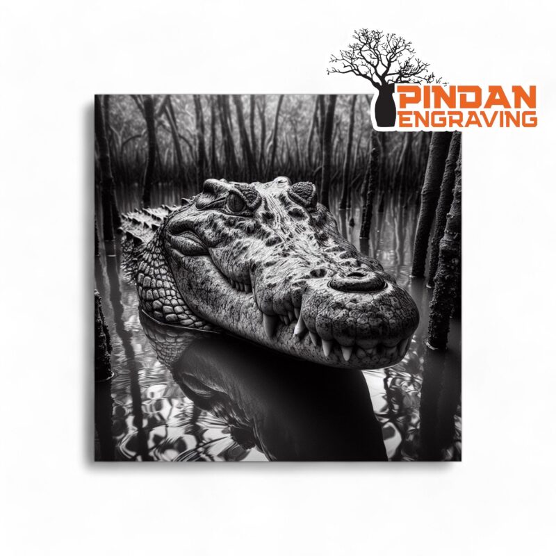 Crocodile in the mangroves slate coaster