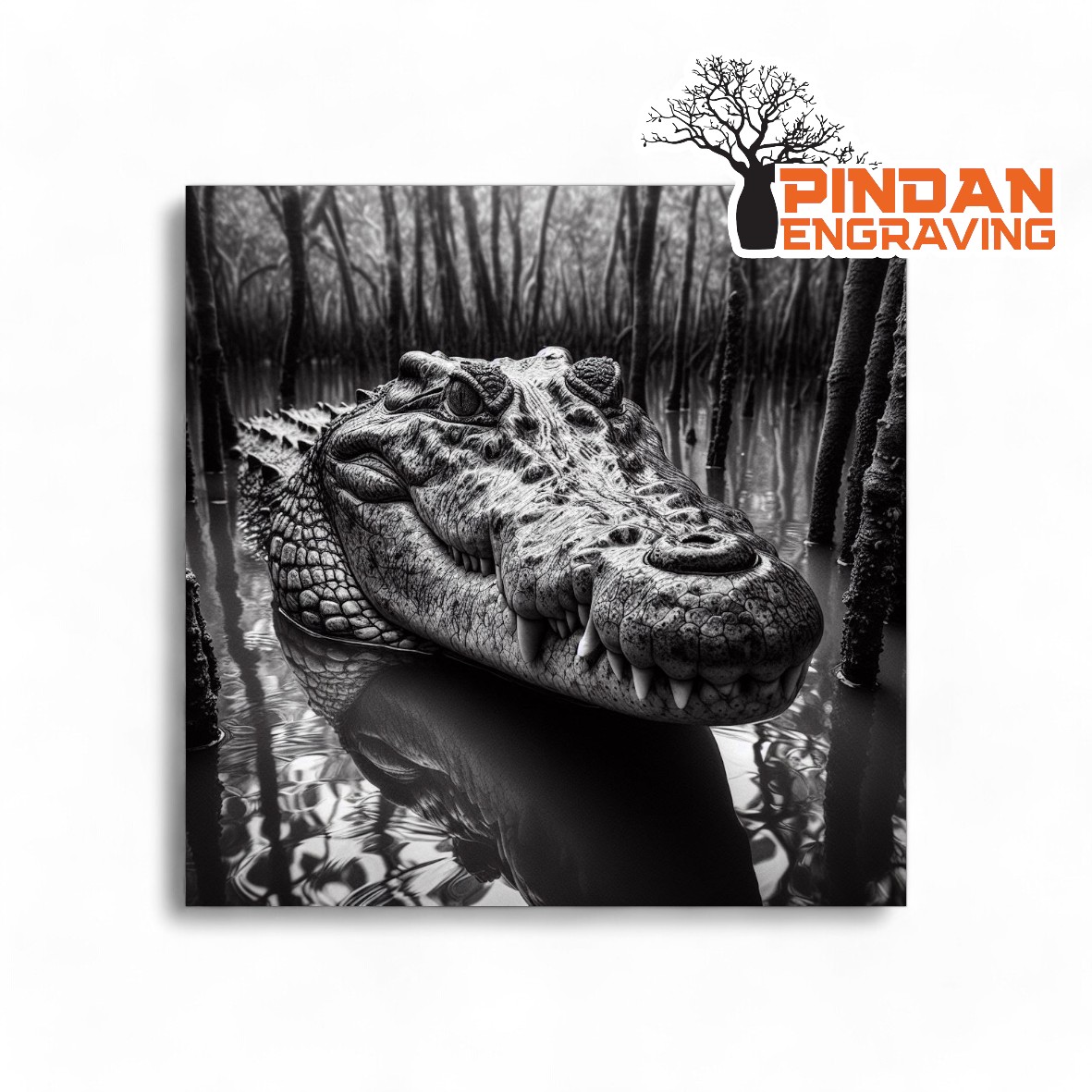 Crocodile in the mangroves slate coaster
