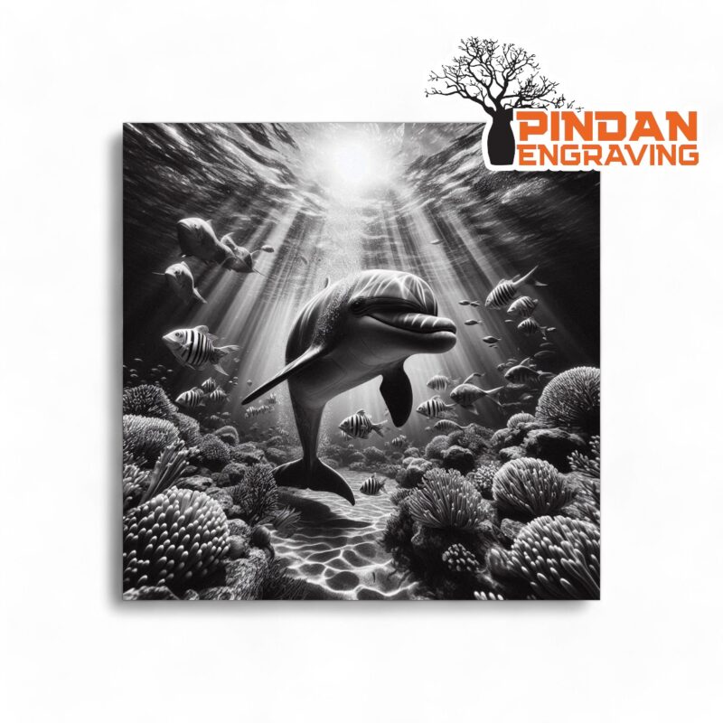 Dolphin on a reef slate coaster