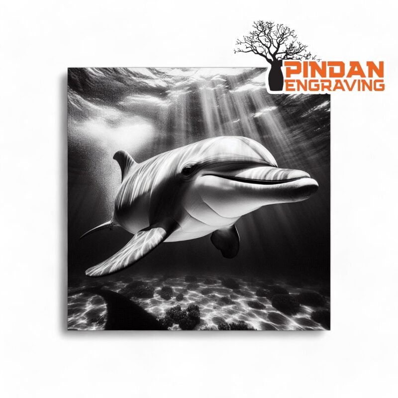 Dolphin swimming slate coaster