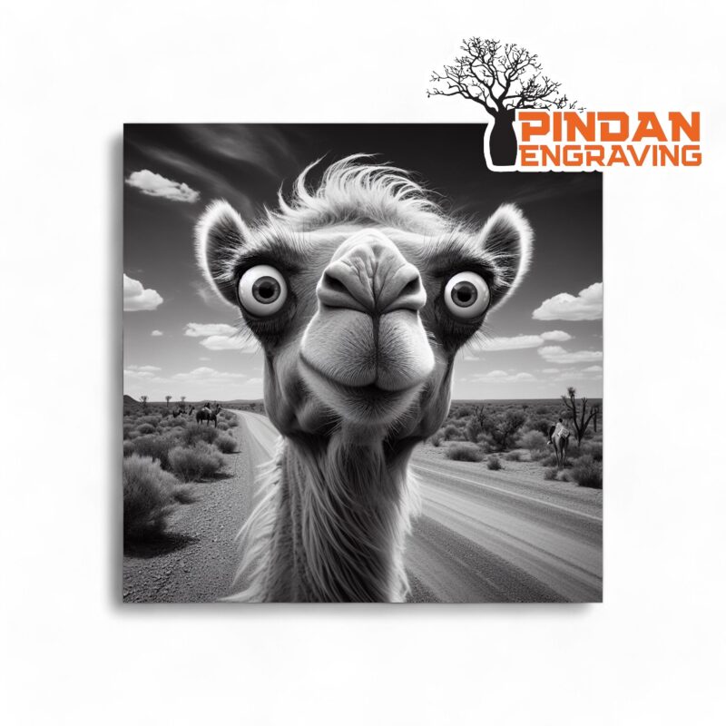 Dorky Camel slate coaster