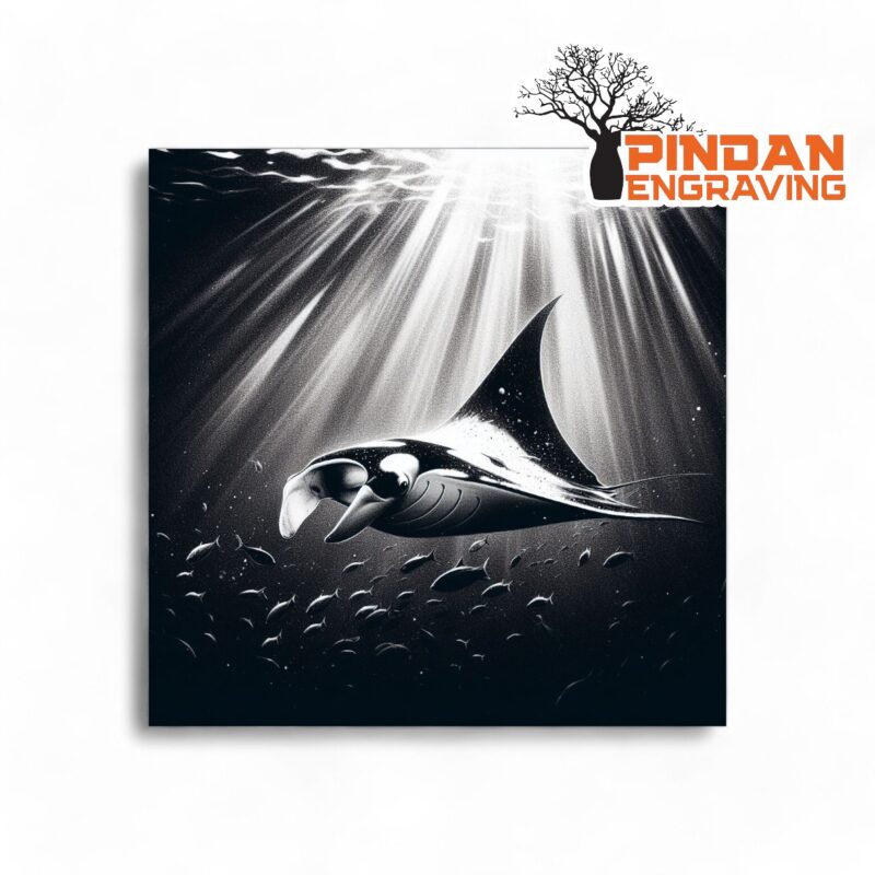 Manta ray slate coaster