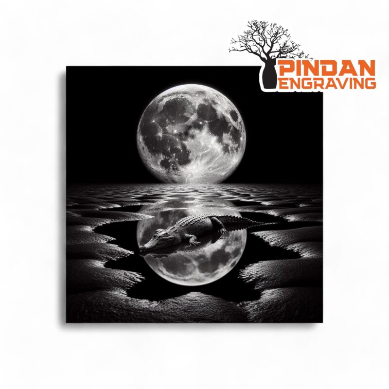 Moon with Crocodile slate coaster