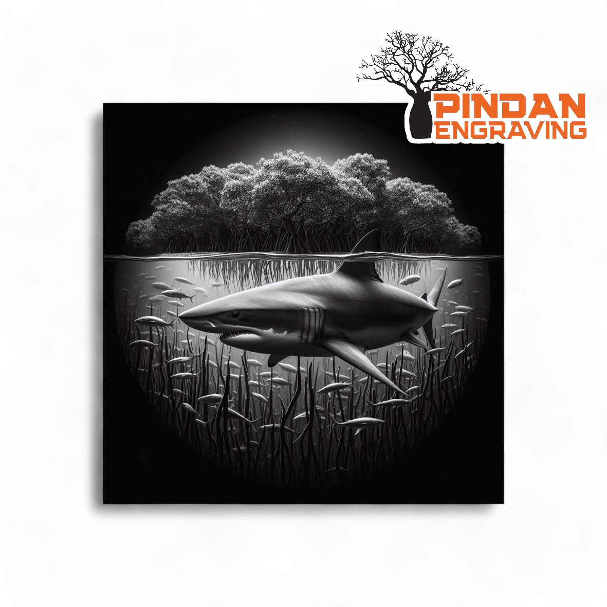 Shark in the mangroves slate coaster