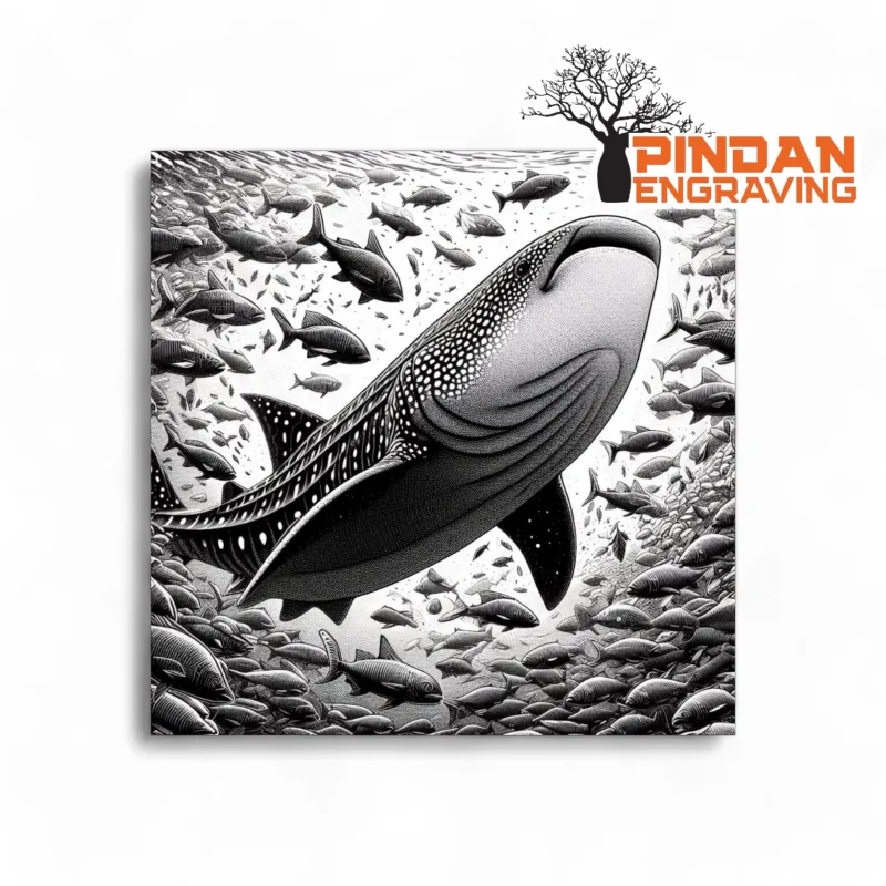 Whale shark 2 slate coaster