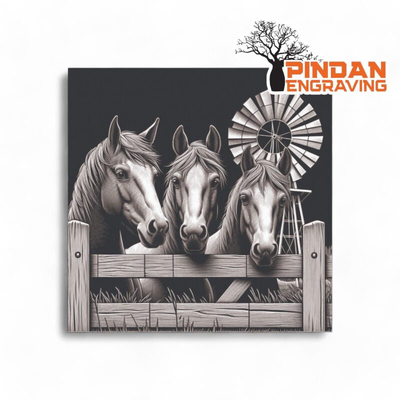 Horses looking over a fence slate coaster