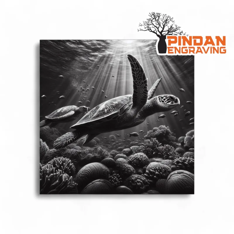 Turtle on reef slate coaster