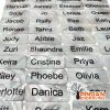 Mother Of Pearl Name badges