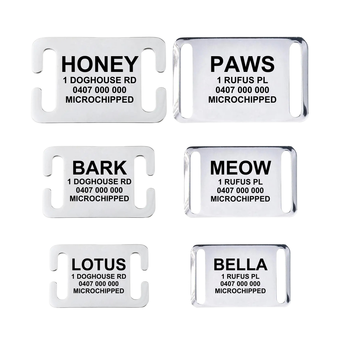 Personalised Slip on Dog Tags