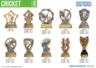 Cricket Trophies and medals Flyer