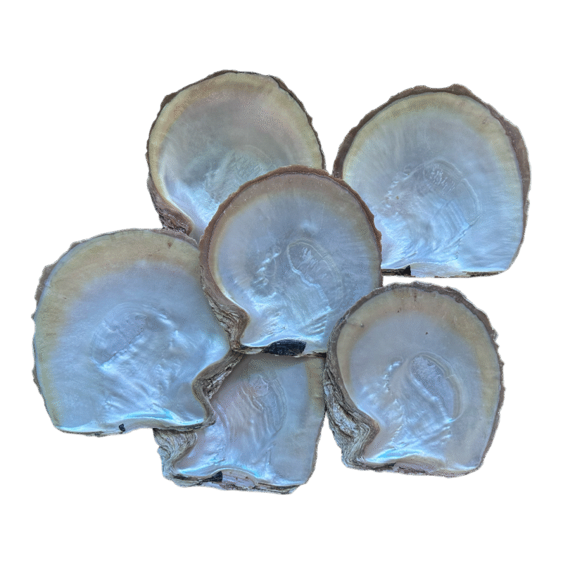 Mother of Pearl Shell Products