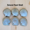 Natural Pinctada Maxima Pearl Shell