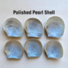 Polished Mother of Pearl Shells