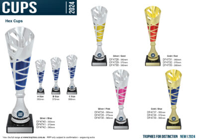 Trophy Cups Flyer